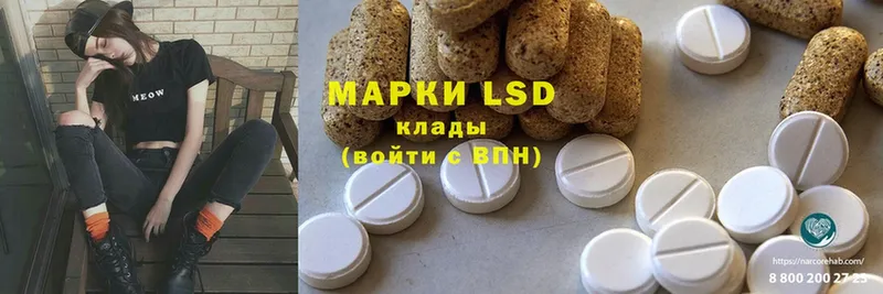 ЛСД экстази ecstasy  как найти наркотики  Буй 